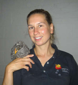 bernda and chickens image